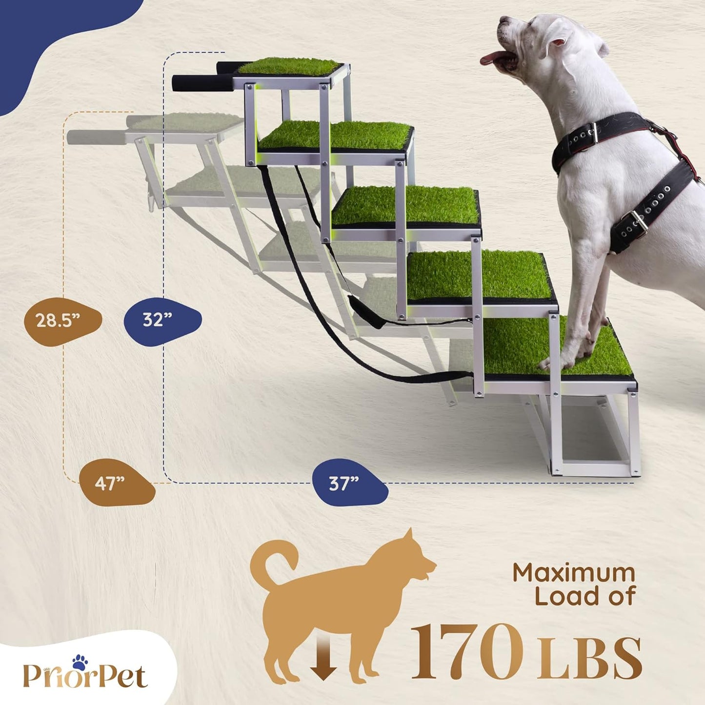 5 Steps Outdoor Dog Stairs