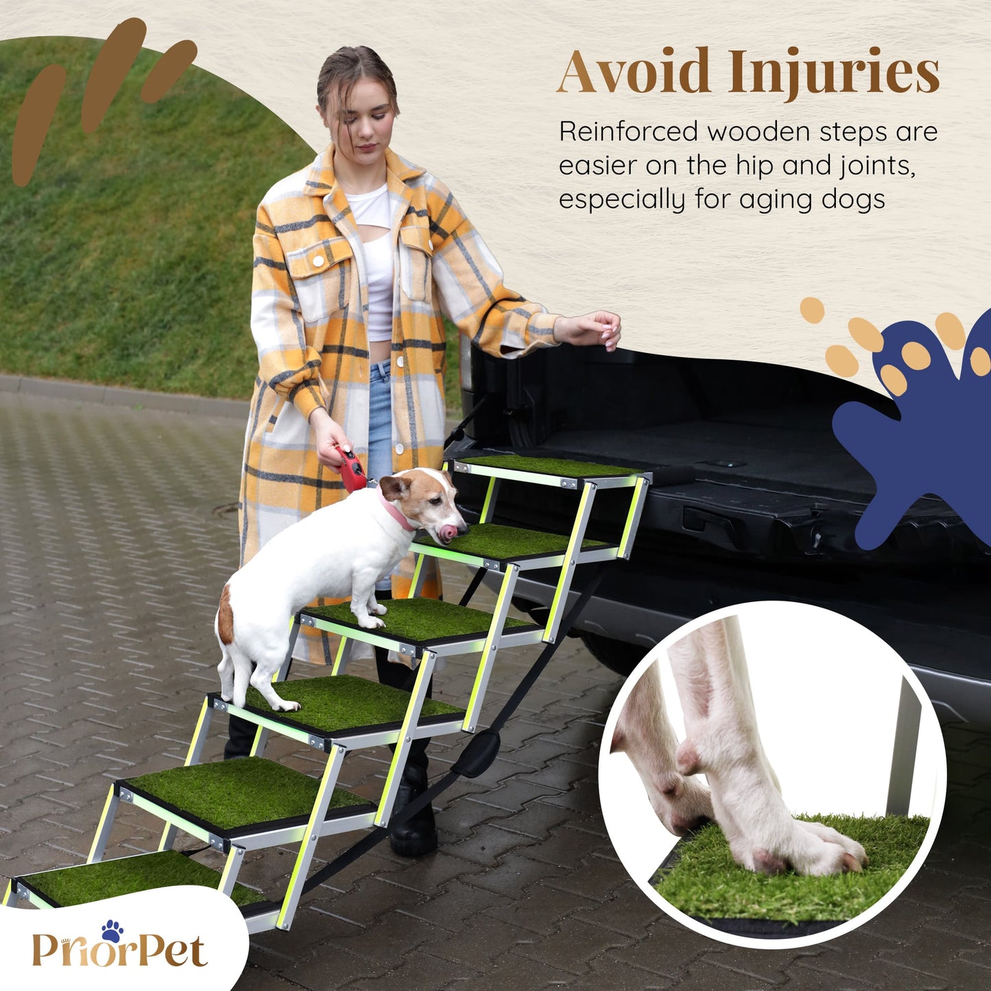 6 Step Outdoor Dog Stairs