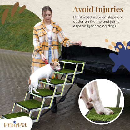 6 Step Outdoor Dog Stairs