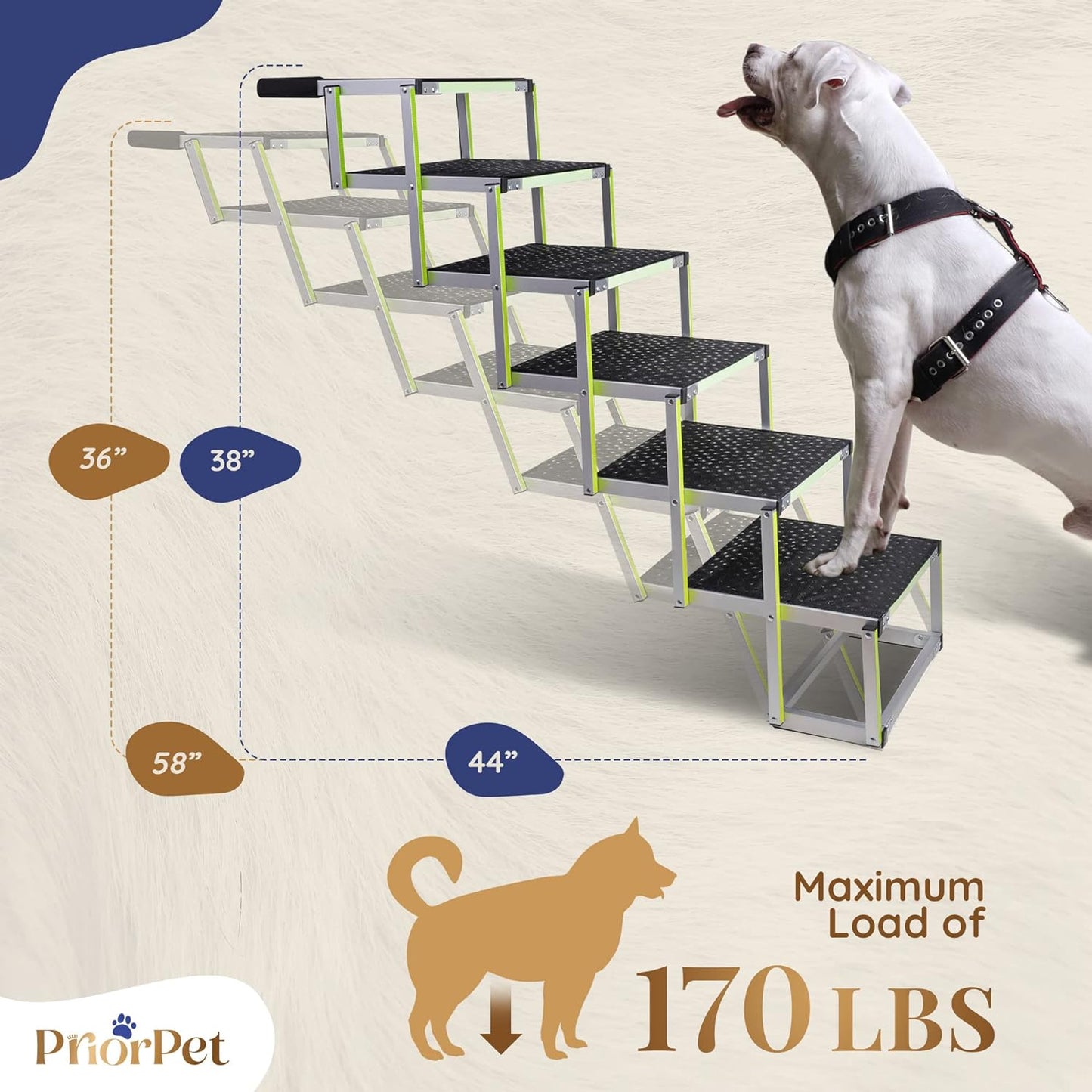 6 Step Outdoor Dog Stairs