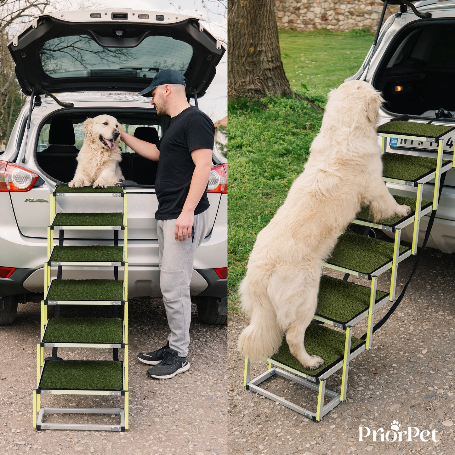 6 Step Outdoor Dog Stairs