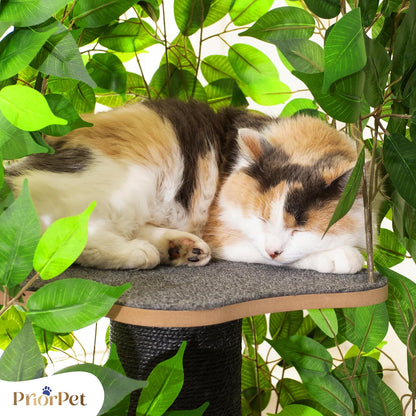 Cat Tree with Interchangeable Leaves