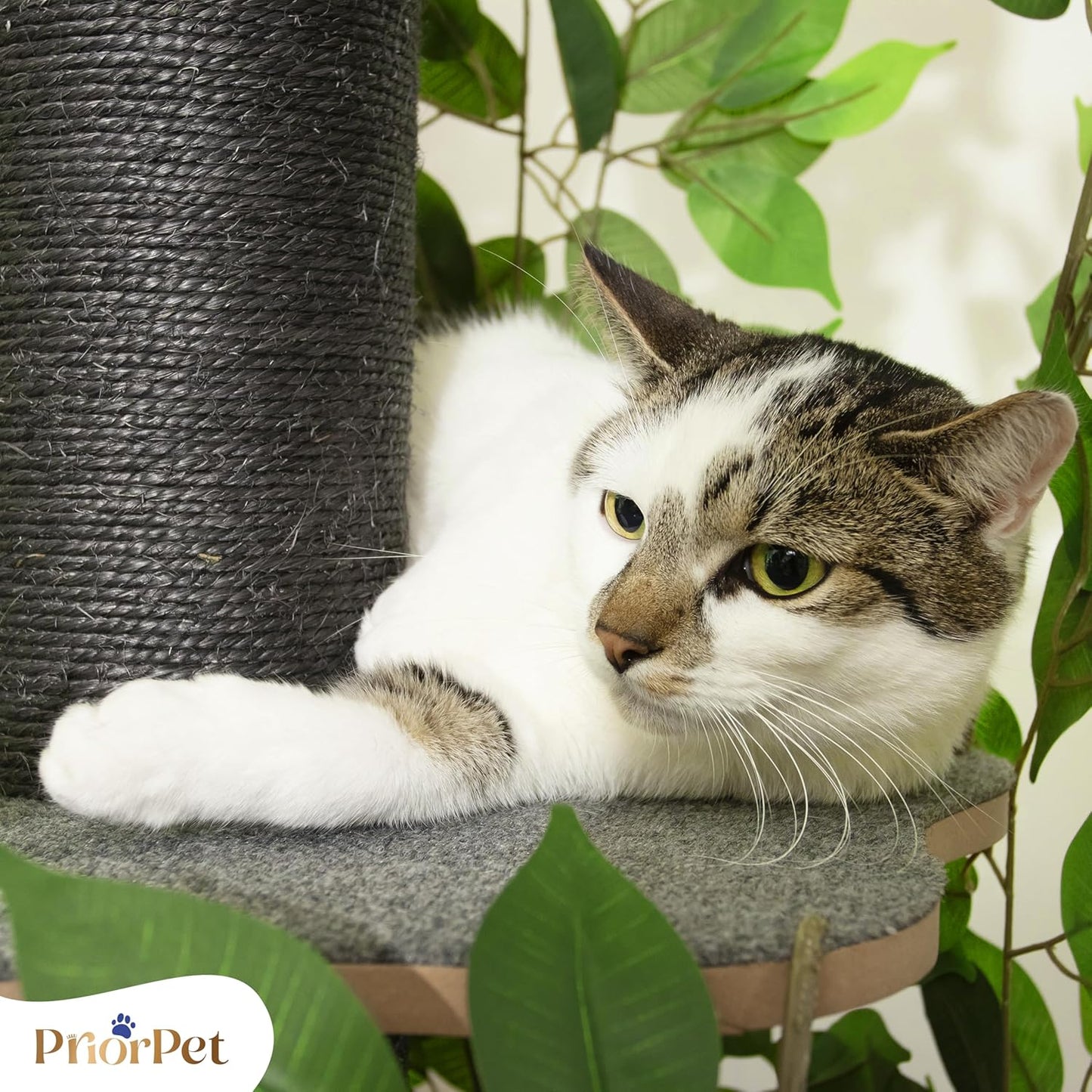 Cat Tree with Interchangeable Leaves