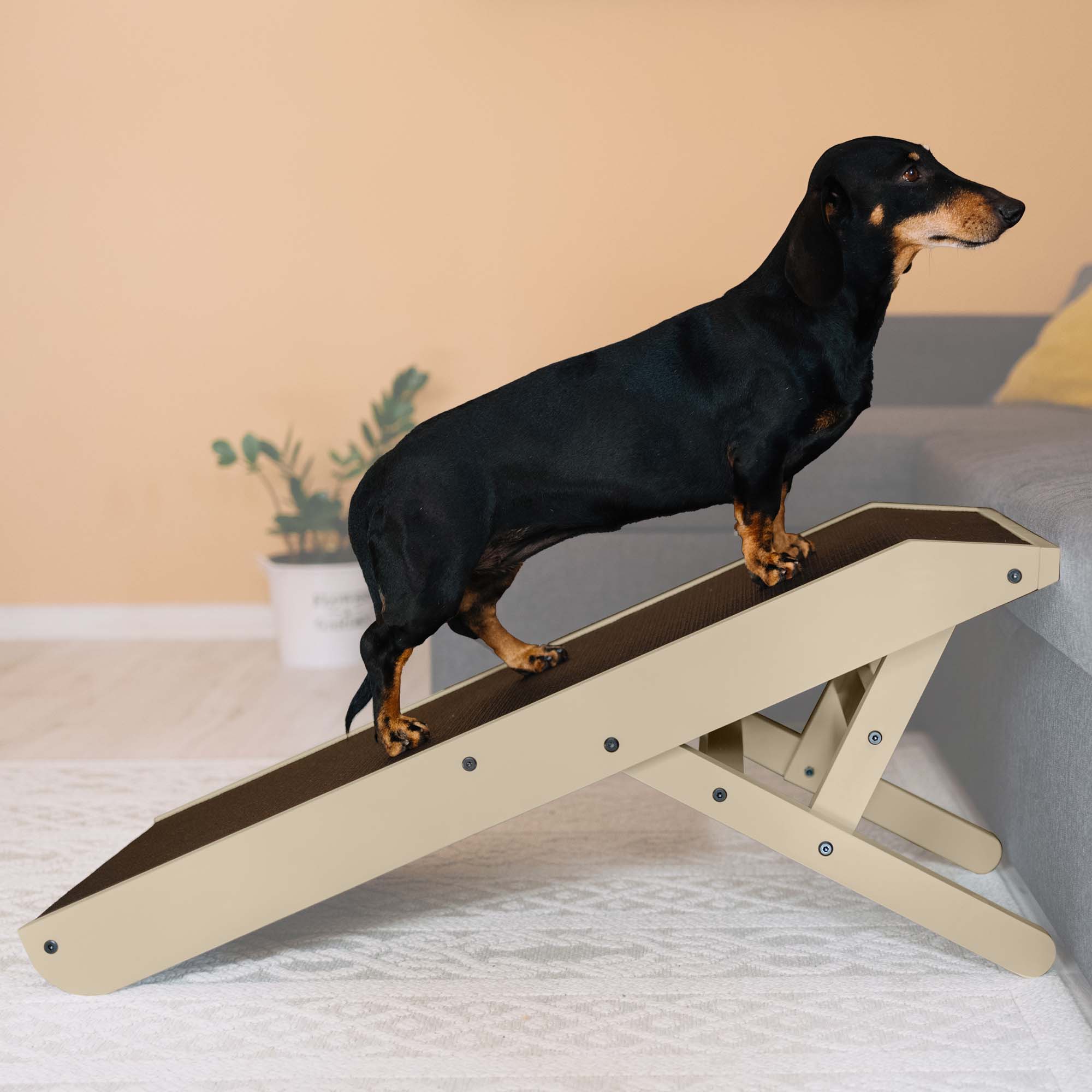 Dog couch ramp best sale