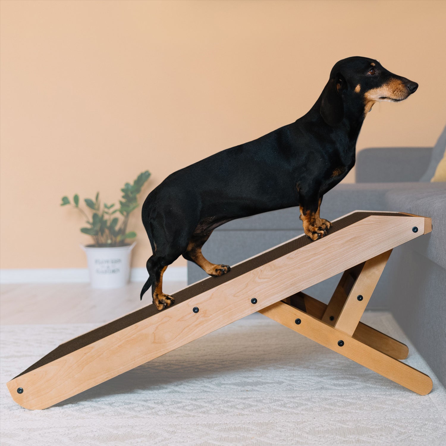 Dog Ramp for Couch PriorPet