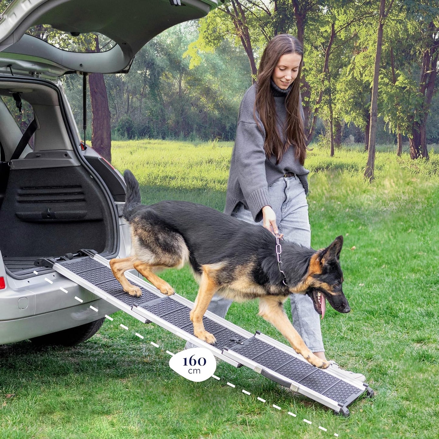 Telescopic Dog Ramp