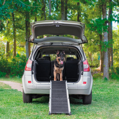 Telescopic Dog Ramp