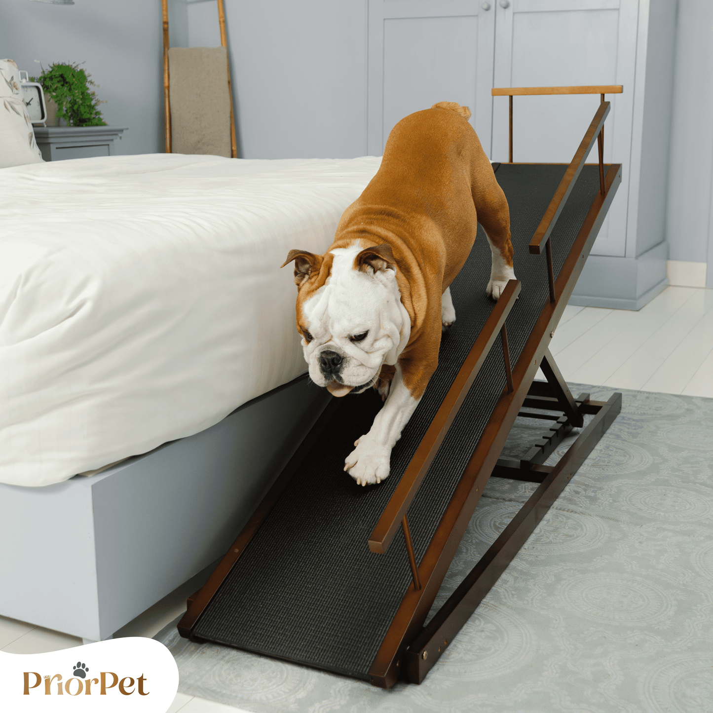 Dog Ramp for Bed