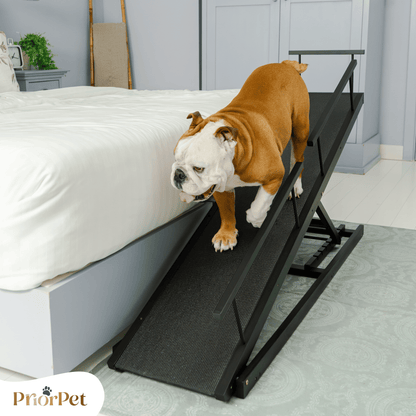 Dog Ramp for Bed